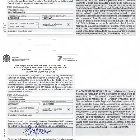 Apartmán Milenio *